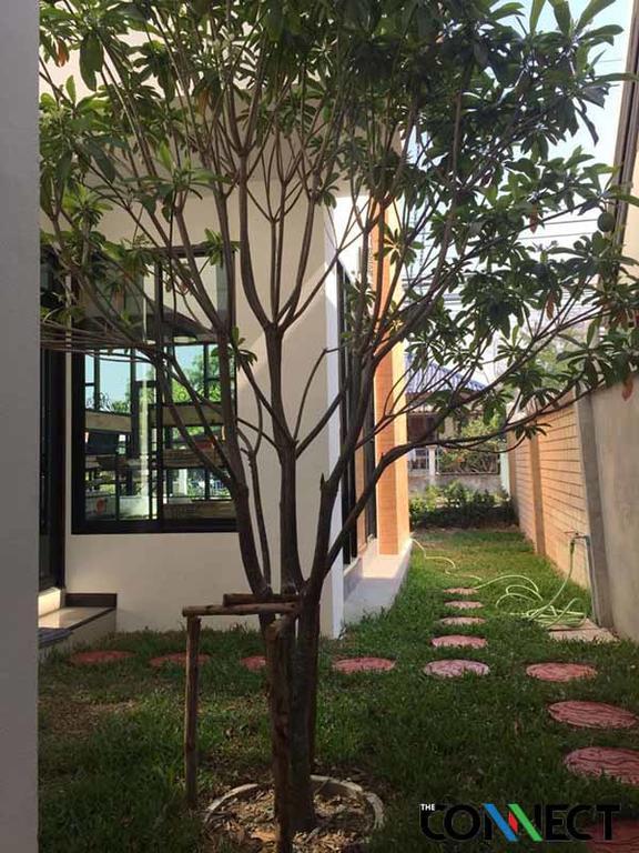 Apartament The Connect Chiang Mai Zewnętrze zdjęcie